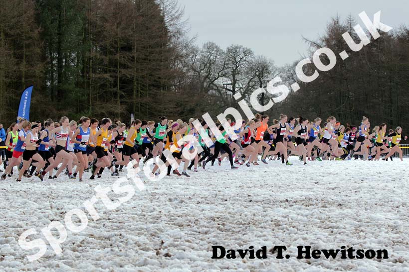Start of the senior womens Northern Cross Country Championships.